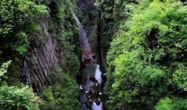 大峡谷在线观看,云端漫步，穿越自然奇迹