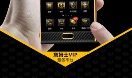 高级服务手机在线观看